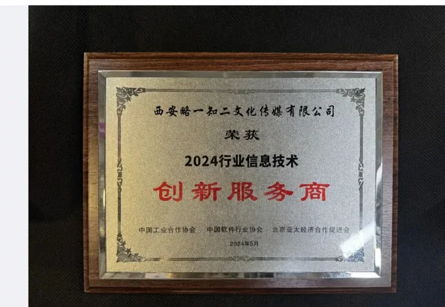 西安略一知二文化传媒有限公司2024行业信息技术创新服务商牌匾